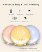 Smart Sunrise Alarm Clock with 4 Alarms, FM Radio & 11-Color Light
