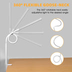 LED Desk Lamp with Clamp, 3 Colors & 10 Brightness Levels